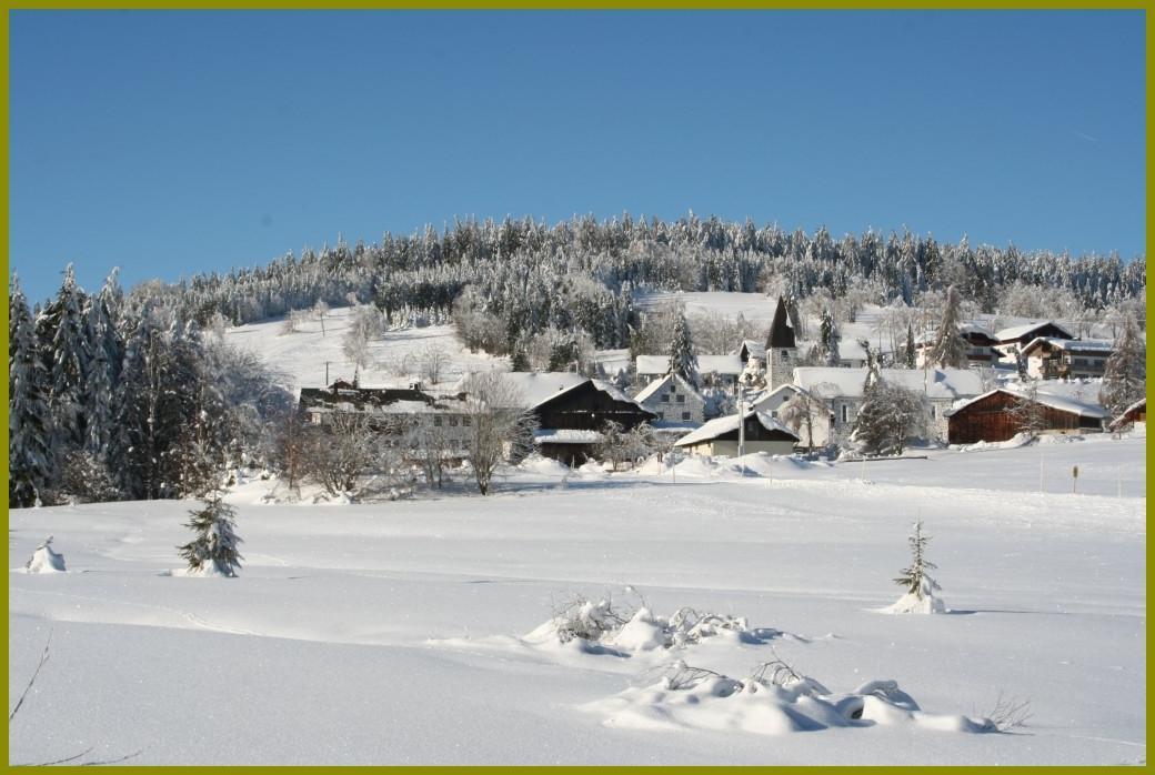 Pension Philippsreut "Zum Pfenniggeiger" Am Goldsteigwanderweg Exterior photo